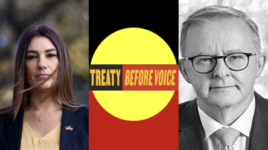 Treaty before voice