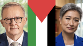 Albanese, Palestine and Wong