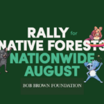 Ending Native Forest Logging Is Within Reach: Bob Brown Foundation’s Jenny Weber on the National Campaign 
