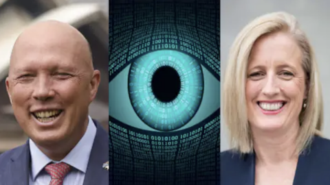 Biometric Digital ID