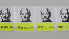 Bring Assange home