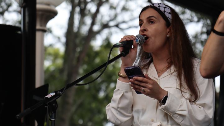 Palestinian writer Randa Abdel-Fattah addresses the Sunday 12 November Free Palestine rally