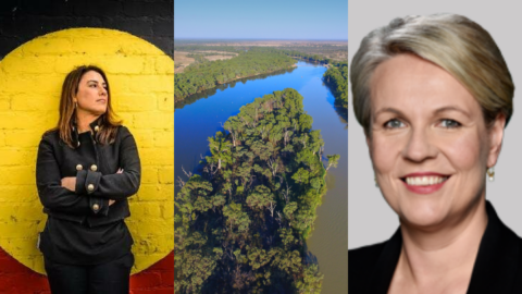 Plibersek water rights