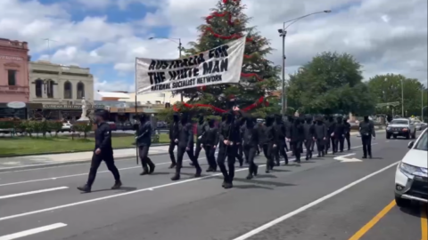 Nazi Parade