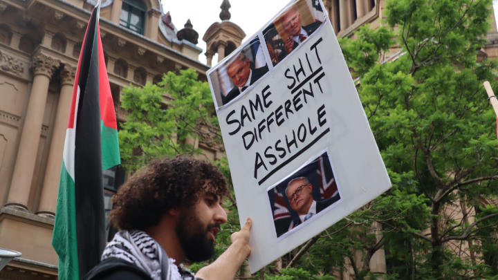 Palestinian protest Albanese