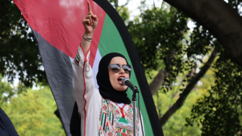 Sydney Palestine protest