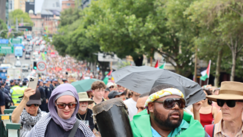 Tens of thousands from all walks spread out across the length of Broadway