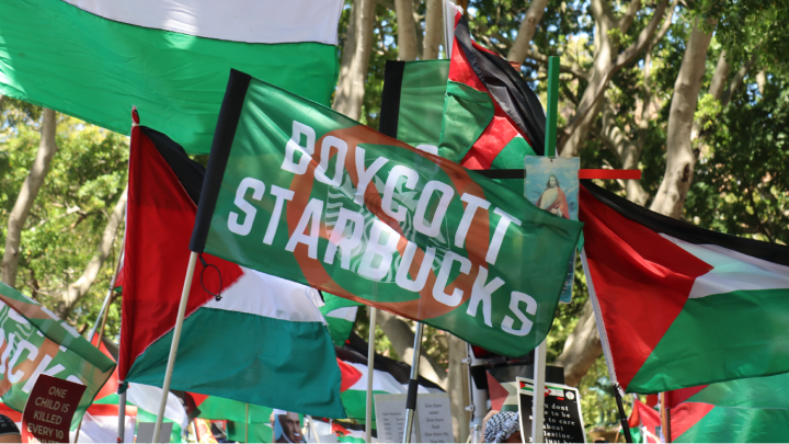 Boycott and divest