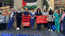 Healthcare Workers Gaza