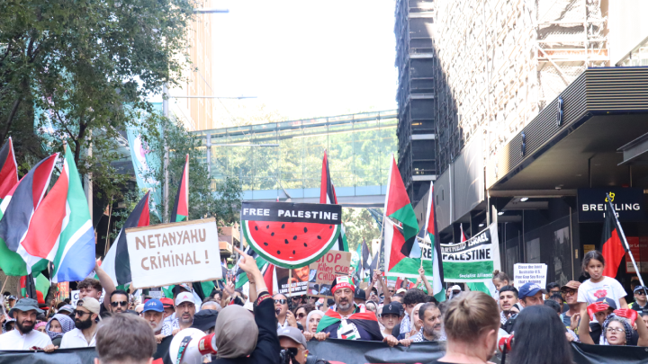 As the crowd of pro-Palestinian demonstrators pours into Market Street, running by Pitt Street Mall, it’s at this point that it becomes apparent just how massive the procession is