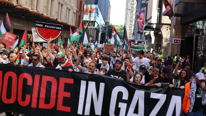 The persistent numbers of pro-Palestinian protesters will be heard at the ballot in 2025