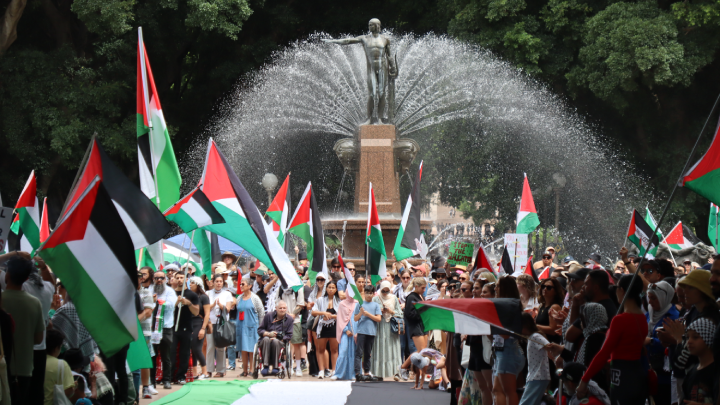 The pro-Palestinian crowd in Hyde Park North still strong in the face of 18 weeks of horror