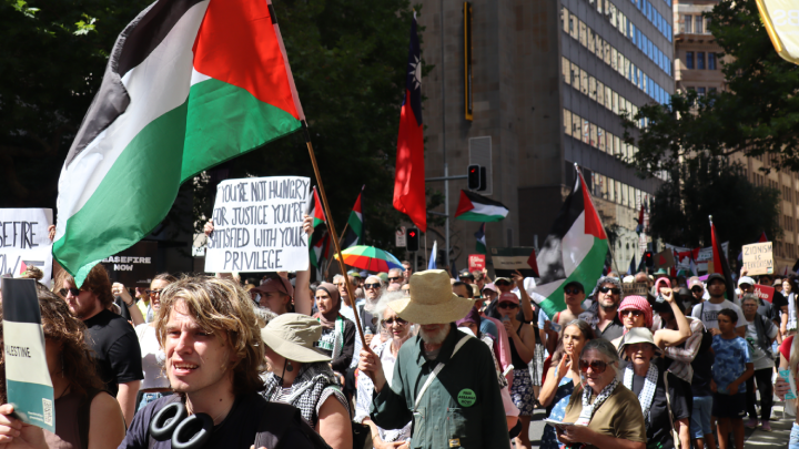 As the rally for Gaza took a left into Clarence Street, it took at least 10 minutes for the entire crowd to round the corner