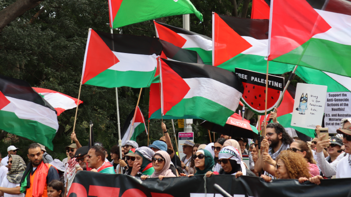 A sea of Palestinian flags flicker in the wind
