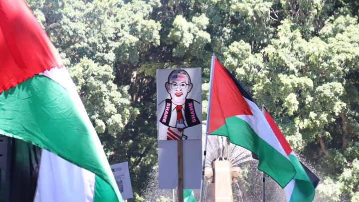 Gaza flags