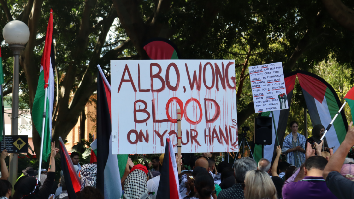 An expression of the general sentiment at the 21st Gadigal-Sydney Ceasefire rally on Sunday An expression of the general sentiment at the 21st Gadigal-Sydney Ceasefire rally on Sunday