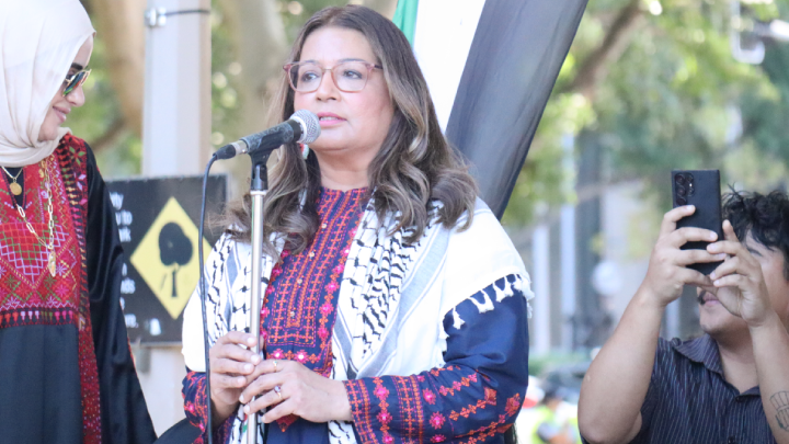 Greens Senator Mehreen Faruqi addresses Labors failures on Gaza. Unlike in the US, instead of Labor, swinging voters don’t need the Liberals, as they have the preferred choice of Palestinian-supporting Greens