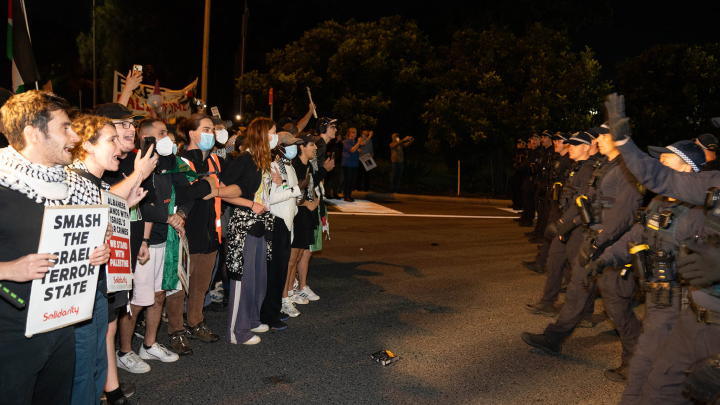 Palestinian Protesters