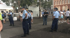 Police at festival