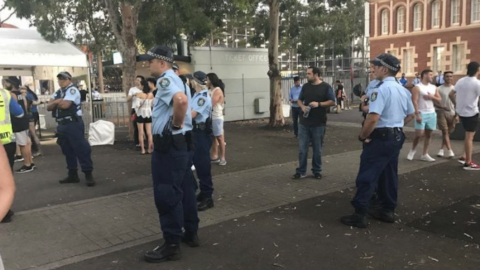 Police at festival