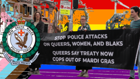 Police Mardi Gras