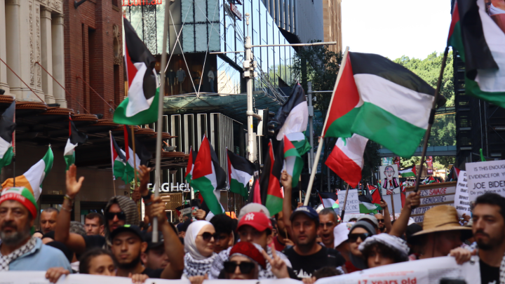 The procession of pro-Palestinian voters that meets once a week on Gadigal land is of an unprecedented manner in this state in terms of scale and longevity  