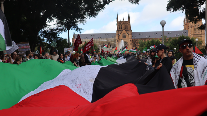  Protest in Sydney 2024