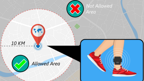 Ankle monitoring device
