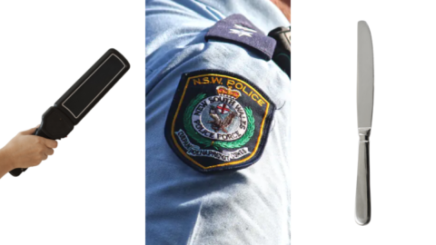 Warrantless arrests