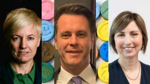 Pill testing NSW