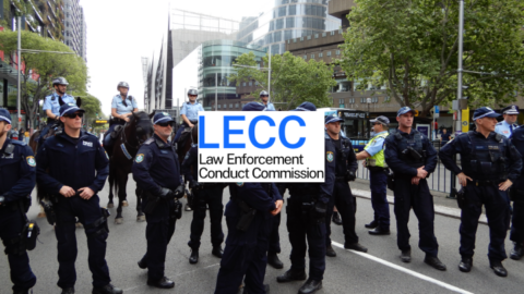 Bail Compliance Checks
