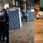 With Strip Search Class Action About to Begin, Police Admit Strip Search of Girl Was Illegal