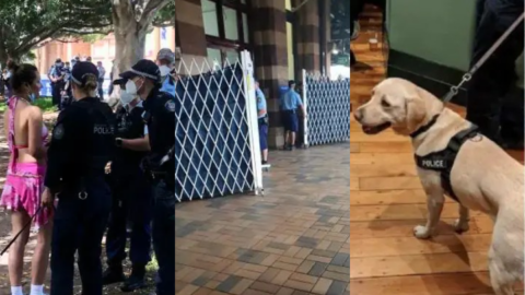 Illegal police strip searches