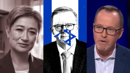 Gaza Genocide and Albanese