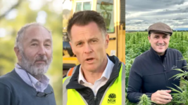 High Time: NSW Government to Consider Passing Medicinal Cannabis Driving Defence