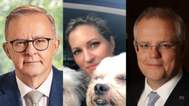 Albanese and mass deportations