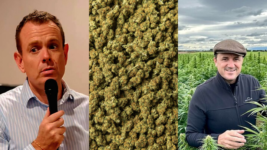 NSW Inquiry into Cannabis Laws