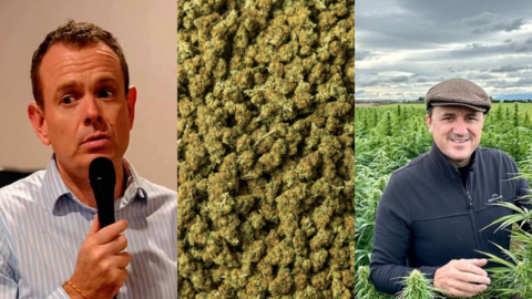 NSW Inquiry into Cannabis Laws