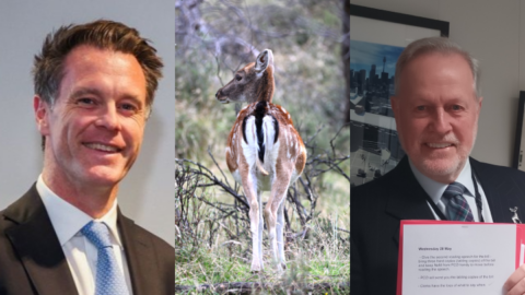 Right to hunt in NSW