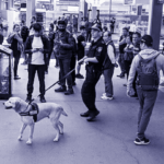 NSW Police Use of Drug Dogs and Strip Searches Slammed as Ineffective and Unlawful