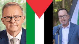 Albanese Israel arms trade