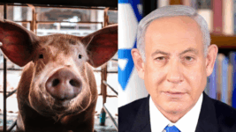 Israeli Prime Minister “Weak”