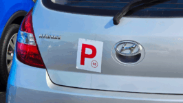 P Plater NSW