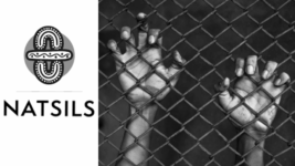 Federal Government Has Power to Intervene in State Child Crime laws