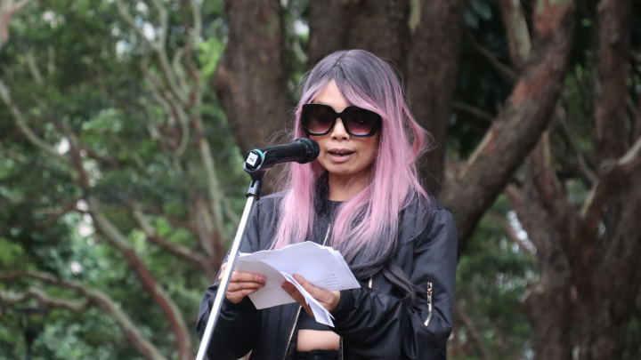 SWOP NSW outreach worker Amelie described the situation with the raids carried out by NSW police in this state