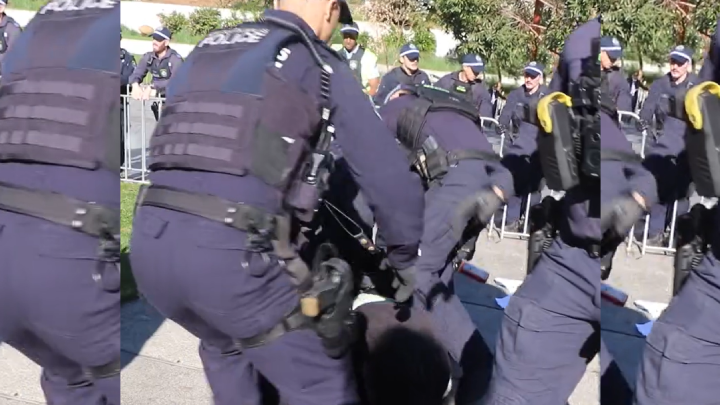 NSW police officers toss civilian on the ground and swarm on top of him. Screenshot taken from footage by Sydney photographer Iyngaranathan Selvaratnam