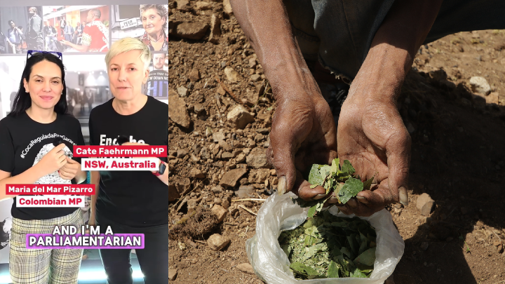 NSW Greens MLC Cate Faehrmann with Colombian MP María del Mar Pizarro, as they discussed ideas around the South American nation’s key crop, the coca plant, and a legalised and regulated cocaine market NSW Greens MLC Cate Faehrmann with Colombian MP María del Mar Pizarro, as they discussed ideas around the South American nation’s key crop, the coca plant, and a legalised and regulated cocaine market