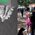 Increasingly Authoritarian Governments Favour Failed Drug War Tactics