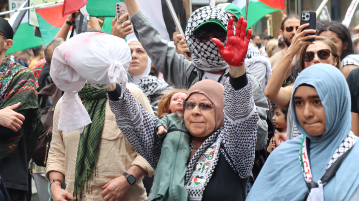 Gaza genocide continues