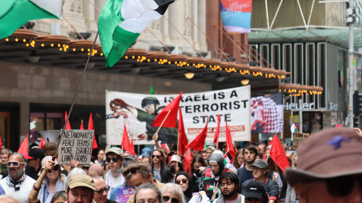 Gaza genocide continues